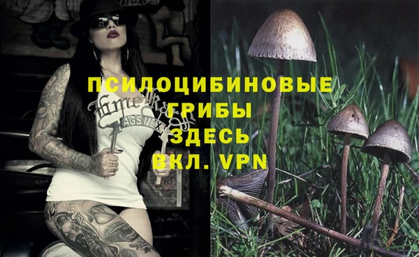 СК Верхний Тагил