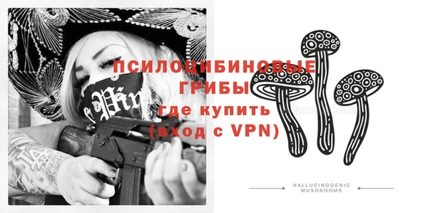 ГАЛЛЮЦИНОГЕННЫЕ ГРИБЫ Верхнеуральск